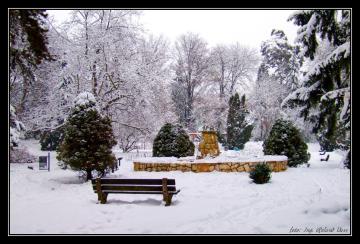 Park Park