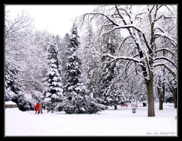 Park Park