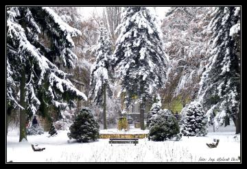 Park Park